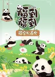 救援高手第四季在线播放免费观看