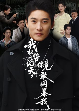 少帅第40集在线观看-电视剧-西瓜影院