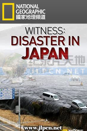 新版《铁石心肠》免费观看全集高清