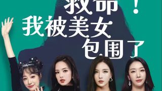 美妙旋律第一季粤语版百度网盘