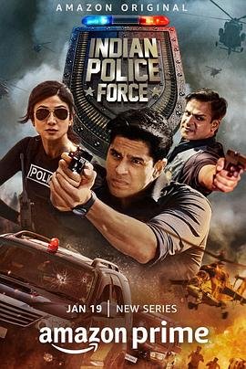 谁是大英雄电视剧剧情介绍分集