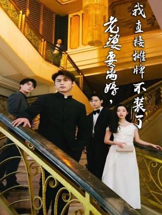 骑士电视剧免费播放完整版高清在线观看