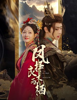 窦唯的无地自容视频