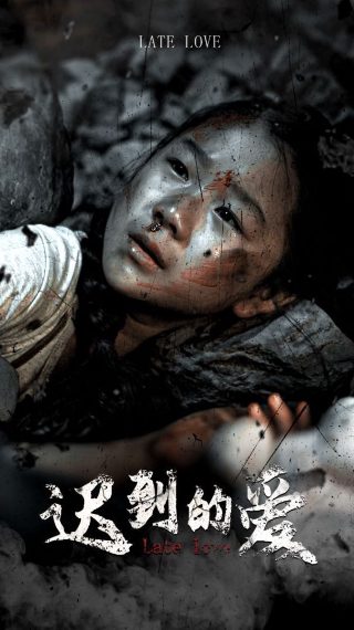 你是迟来的欢喜22集剧情介绍大结局是什么意思