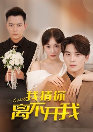 历史的天空22集内容