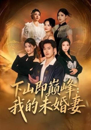 嫌疑人 剧情介绍大结局解析