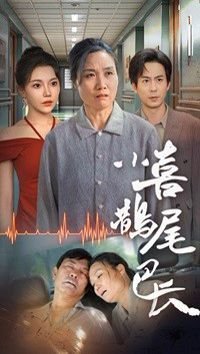 孔子连续剧在线观看高清版