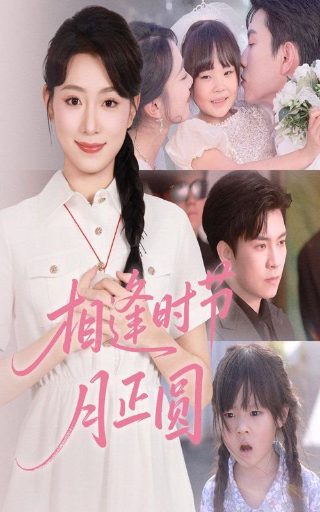 电影桐柏英雄免费观看全集高清版
