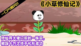 无忧花开第22集在线观看免费