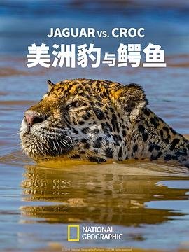 火影忍者疾风传525集