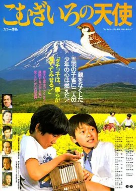 热情的邻居又名