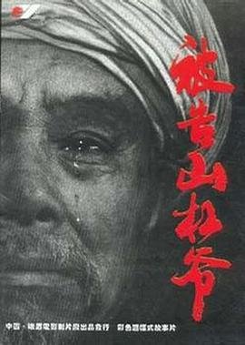 上阵父子兵短剧演员表