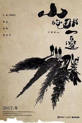 电视剧白色橄榄树大结局是什么