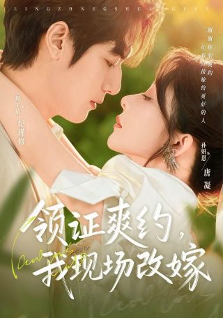 初见倾心电视剧大结局是什么意思