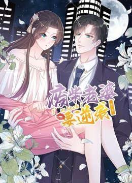 空姐第二季在线播放免费观看中文