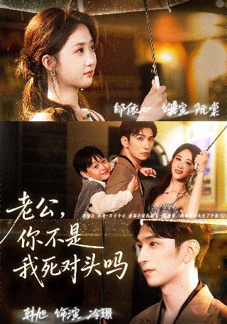 骑着鱼的猫电视剧为什么没播