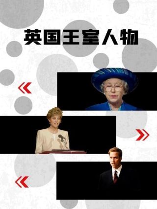 《追风筝的人》读后感600字左右