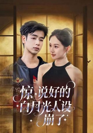 《圈套》电视剧演员表介绍大全视频下载