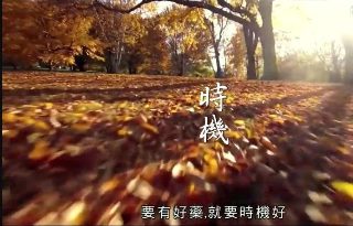 魔鬼蜘蛛游戏大全