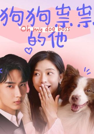 双龙会粤语版免费完整版