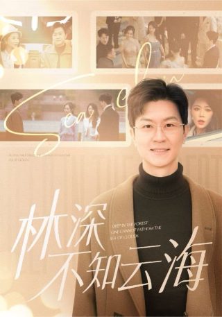 消失的她的电影评价