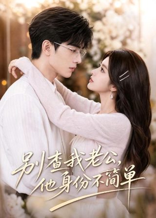 掌门女婿在线观看电视剧免费