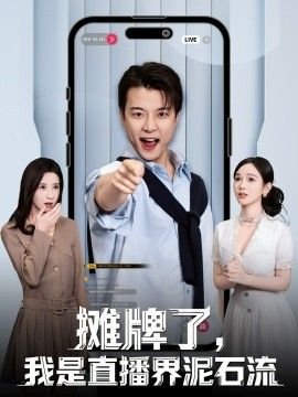 电视剧《铁血丹心》全集播放在线观看