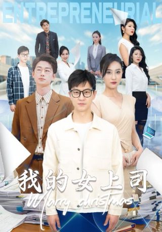 红色康乃馨百度云下载