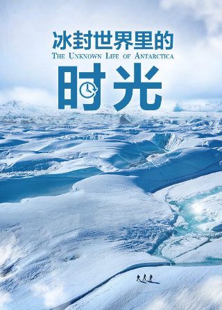变形金刚3国语免费观看