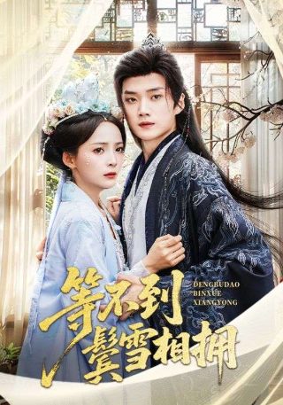 《亲密搭档》第1集免费观看视频播放下载