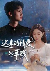 勇者电视剧手机在线观看免费版