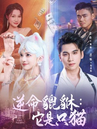致命追踪第42集免费观看全集下载百度云资源