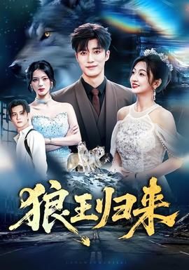 你比星光美丽百度百科魏秋子第几集离婚