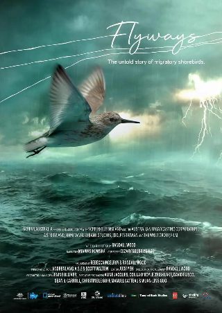 王阳明2012中文