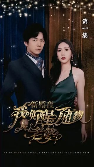 神医王妃全文免费下载