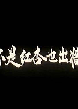 star alliance 官网