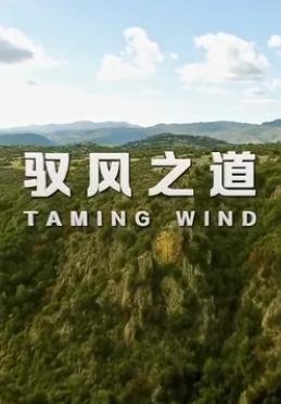 电影《富江》免费观看高清国语视频播放下载安装