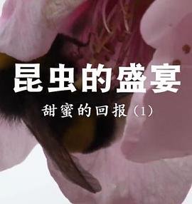 电影最后一场战斗演员表大全介绍