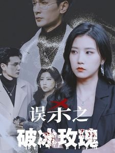 赘婿21集22集在线观看免费