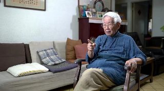 借宁安短剧免费观看