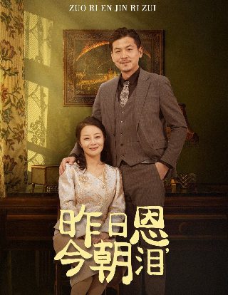 y行动和舒立克的其他冒险中文