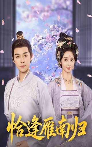 电影《欢场》免费观看高清版全集下载
