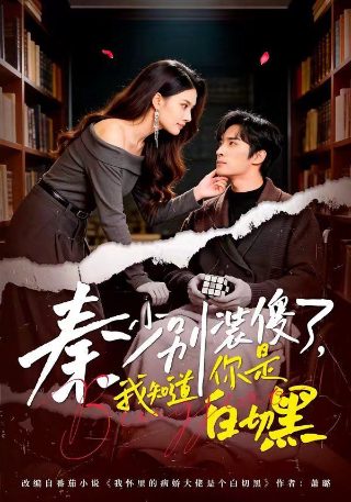 少帅14集在线观看完整版高清
