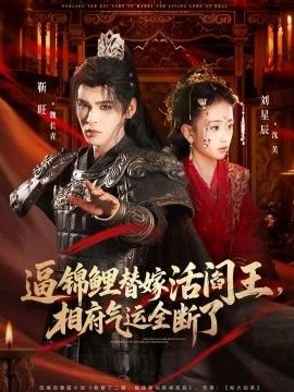 李小龙传奇第十集免费观看全集下载电影