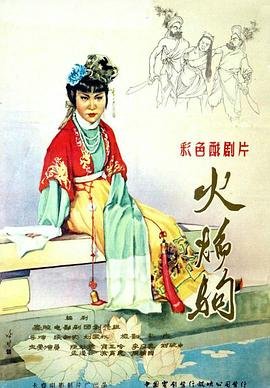 爱情进化论电视剧免费观看星辰