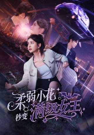 追爱总动员在线播放免费观看全集
