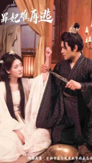 情定三生第5集免费观看