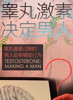 出球制胜第三季23集视频下载观看全集高清