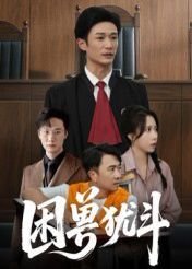 西游记续集全集16集优酷视频
