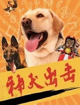 叛逆者第1集免费观看视频